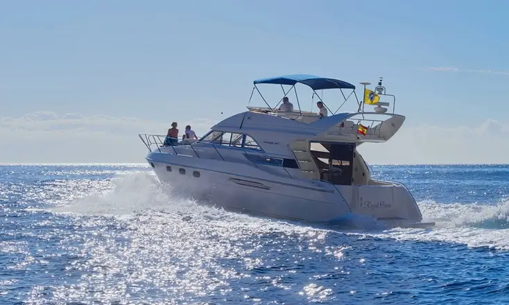  Gita in yacht nel sud di Tenerife 