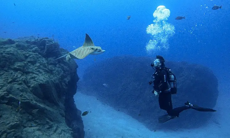 Diving